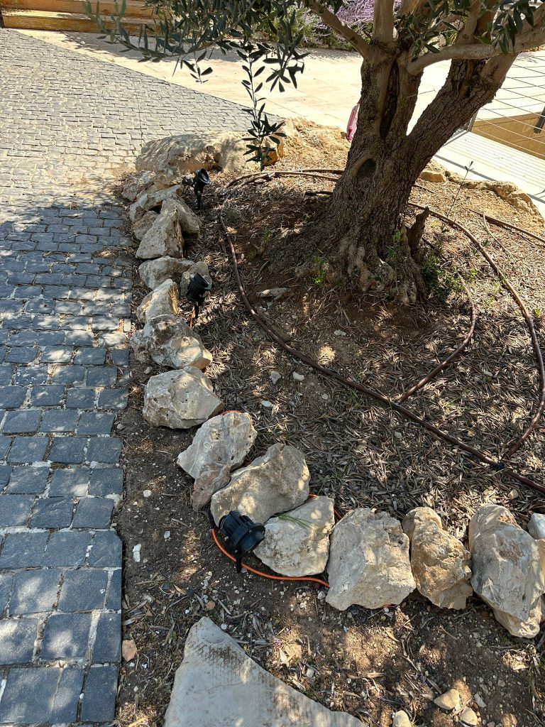 מאירים את הגינה! פרויקט תאורת חוץ שהסתיים עכשיו התקנה תאורה לגינה